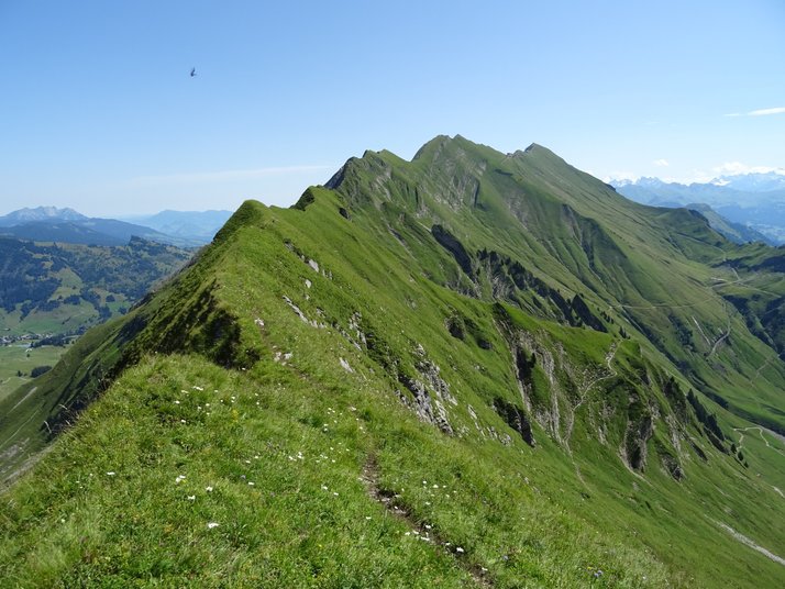 Brienzer Grat / Berner Alpen