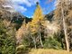 Landschaftliche und kulinarische Genussrunde im Halltal